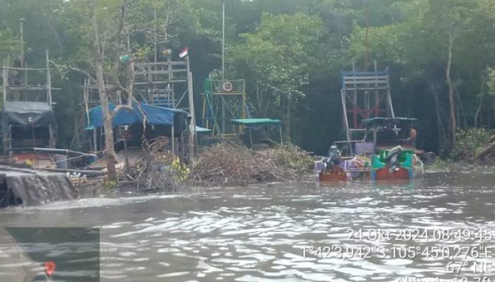 Hutan Mangrove Ditebang! Penambangan Timah Sungai Rumpak Tak Terkendali