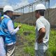 Petugas PLN melakukan survey ke lokasi PT Gunung Maras Lestari untuk rencana penyambungan listrik dari PLN. Foto: Humas PLN