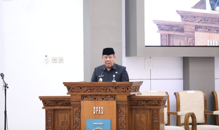 Gubernur Provinsi Kepulauan Bangka Belitung, Hidayat Arsani