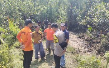 Tes DNA Ungkap Identitas Tengkorak yang Ditemukan di Kawasan Bakau Tumbak Petar